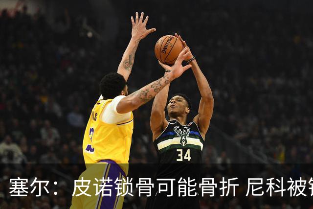 塞尔：皮诺锁骨可能骨折 尼科被铲伤可能提前结束世界杯之旅